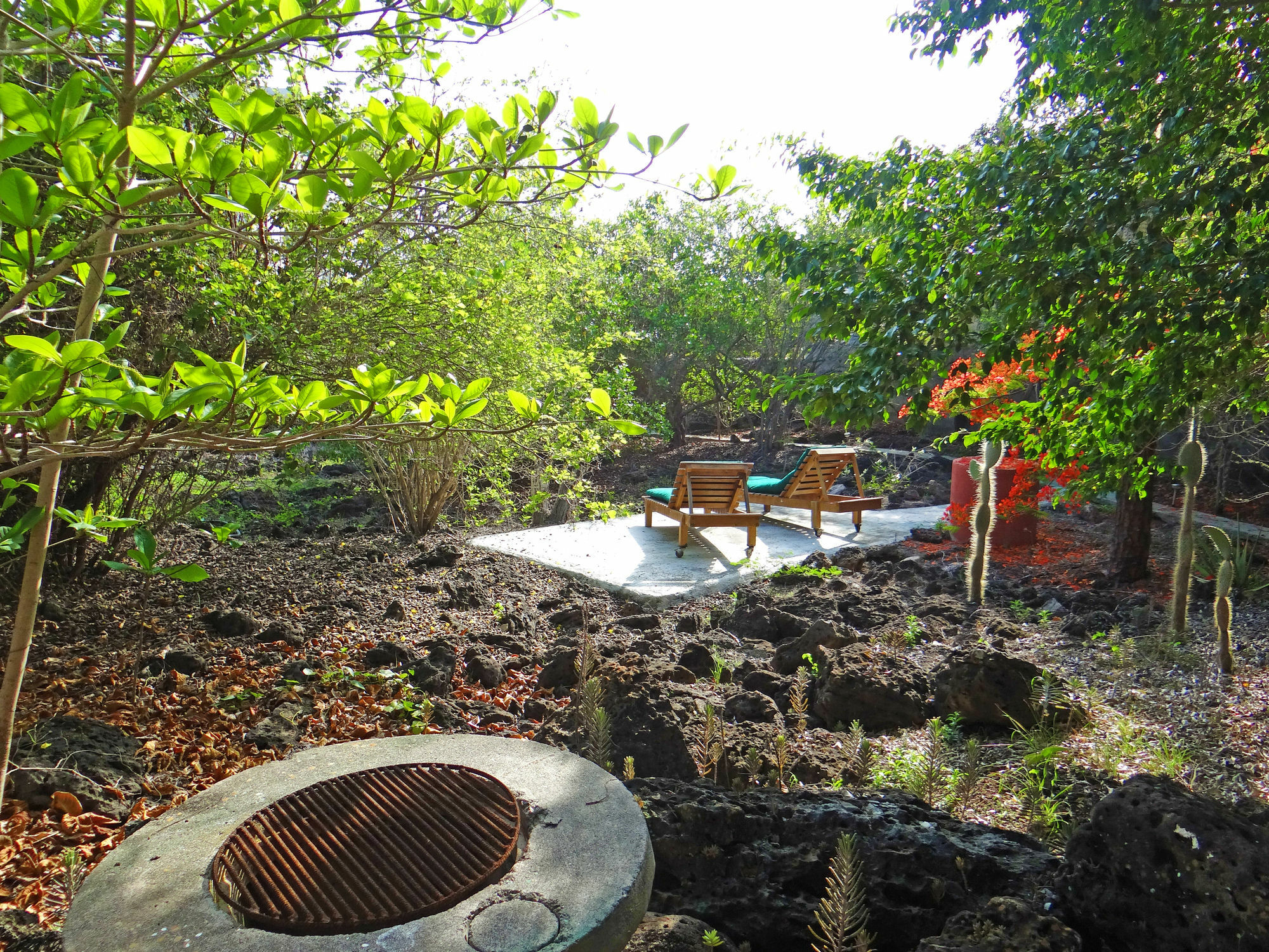 Galapagos Chalet Puerto Ayora  Ngoại thất bức ảnh