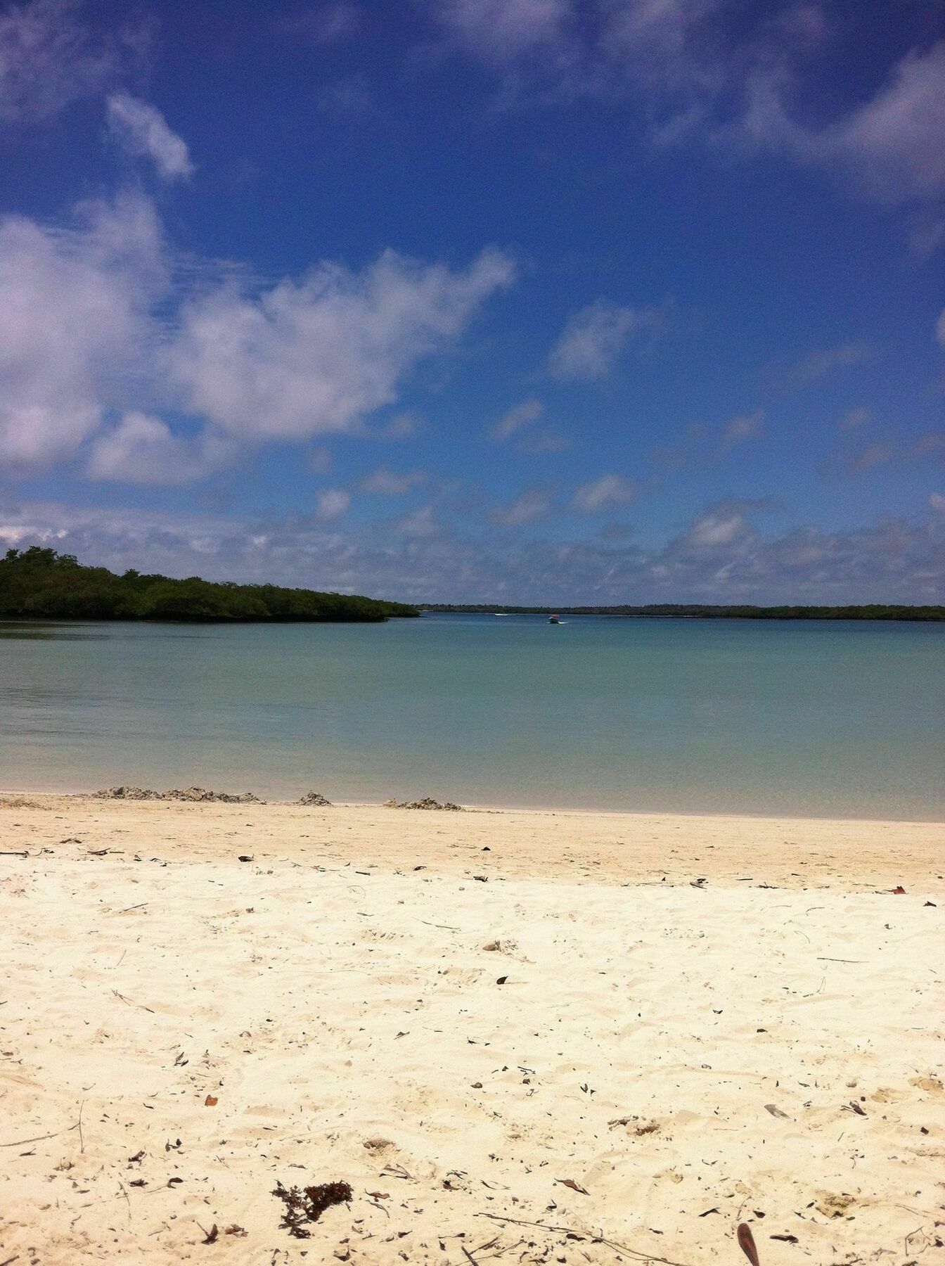 Galapagos Chalet Puerto Ayora  Ngoại thất bức ảnh